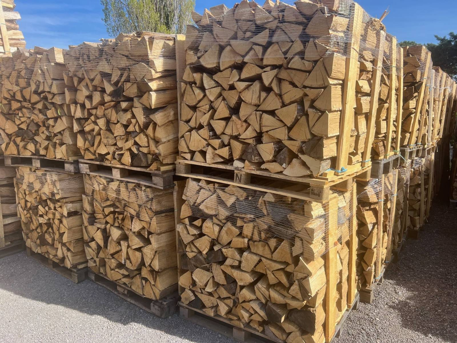 image_2025-09-22_190848675