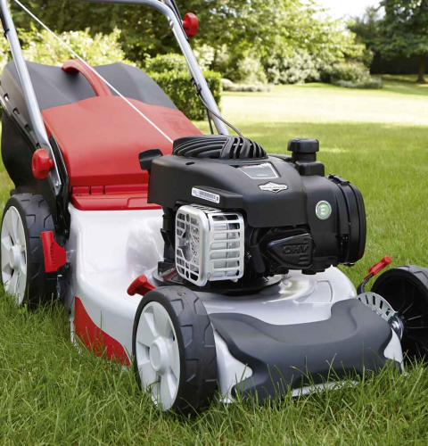 image_2025-09-22_181419001